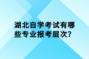 湖北自學(xué)考試有哪些專業(yè)報(bào)考層次？