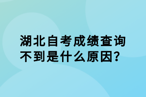 湖北自考成績(jī)查詢不到是什么原因？