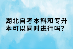 湖北自考本科和專升本可以同時進(jìn)行嗎？