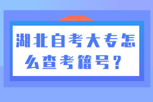 湖北自考大專怎么查考籍號？