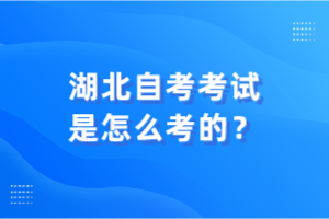 湖北自考考試是怎么考的？