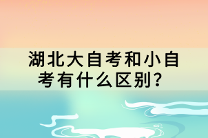 湖北大自考和小自考有什么區(qū)別？