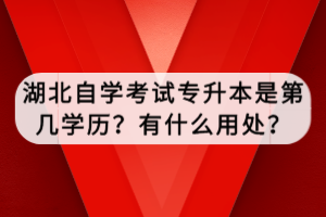 湖北自學(xué)考試專升本準考證怎么自己打??？