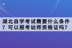 湖北自學考試需要什么條件？可以報考幼師資格證嗎？