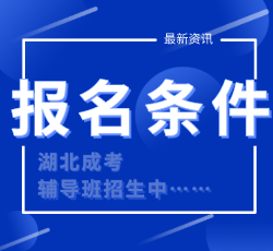 國(guó)際本科2+2報(bào)名條件