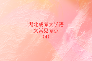 湖北成考大學語文常見考點（4）