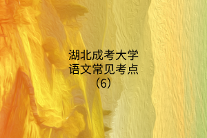 語(yǔ)文常見(jiàn)考點(diǎn)6