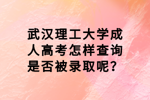 武漢理工大學成人高考怎樣查詢是否被錄取呢？