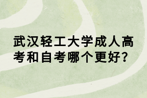 武漢輕工大學成人高考和自考哪個更好？