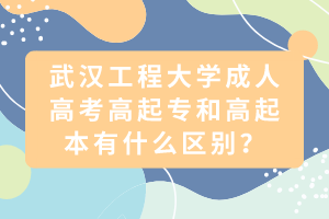 武漢工程大學(xué)成人高考高起專和高起本有什么區(qū)別？