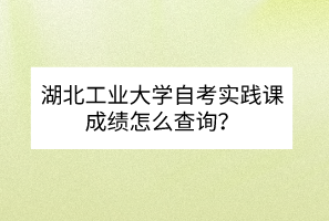 湖北工業(yè)大學(xué)自考實(shí)踐課成績(jī)?cè)趺床樵?xún)？