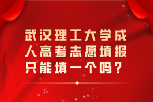 武漢理工大學成人高考志愿填報只能填一個嗎？