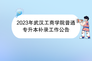 2023年武漢工商學(xué)院普通專升本補(bǔ)錄工作公告