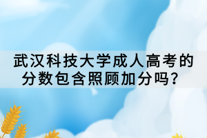武漢科技大學(xué)成人高考的分?jǐn)?shù)包含照顧加分嗎？