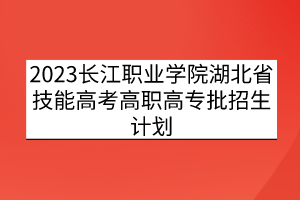 2023長江職業(yè)學院湖北省技能高考高職高專批招生計劃