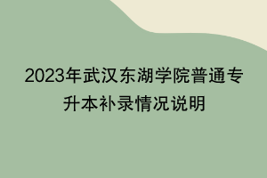 2023年武漢東湖學(xué)院普通專升本補錄情況說明