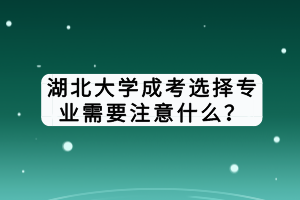 湖北大學成考選擇專業(yè)需要注意什么？