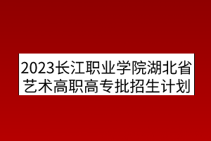 2023長江職業(yè)學院湖北省藝術高職高專批招生計劃