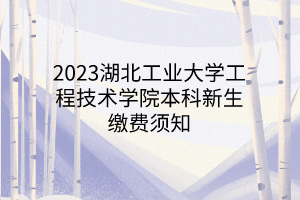 2023湖北工業(yè)大學(xué)工程技術(shù)學(xué)院本科新生繳費(fèi)須知