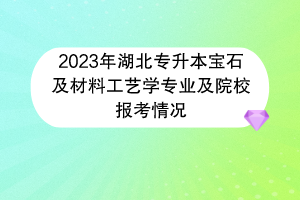 2023年湖北專升本寶石及材料工藝學(xué)專業(yè)及院校報(bào)考情況