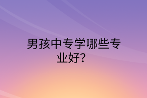 男孩中專學哪些專業(yè)好？