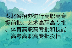 湖北省招辦進(jìn)行高職高專提前批、藝術(shù)高職高專批、體育高職高專批和技能高考高職高專批投檔