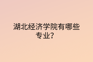 湖北經(jīng)濟學(xué)院有哪些專業(yè)？