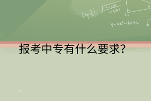 報考中專有什么要求？