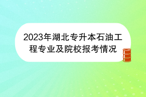 2023年湖北專升本石油工程專業(yè)及院校報(bào)考情況