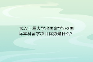 武漢工程大學(xué)出國(guó)留學(xué)2+2國(guó)際本科留學(xué)項(xiàng)目?jī)?yōu)勢(shì)是什么？