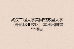 武漢工程大學(xué)美國(guó)密蘇里大學(xué)（哥倫比亞校區(qū)）本科出國(guó)留學(xué)項(xiàng)目