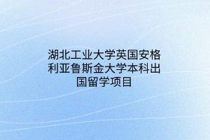 湖北工業(yè)大學(xué)英國安格利亞魯斯金大學(xué)本科出國留學(xué)項(xiàng)目