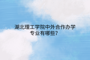 湖北理工學院中外合作辦學專業(yè)有哪些？