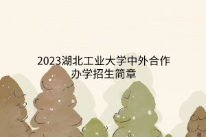 2023湖北工業(yè)大學(xué)中外合作辦學(xué)招生簡(jiǎn)章