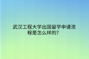 武漢工程大學(xué)出國留學(xué)申請流程是怎么樣的？