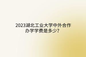 2023湖北工業(yè)大學(xué)中外合作辦學(xué)學(xué)費(fèi)是多少？