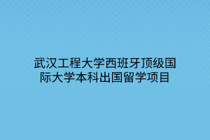 武漢工程大學(xué)西班牙頂級(jí)國(guó)際大學(xué)本科出國(guó)留學(xué)項(xiàng)目