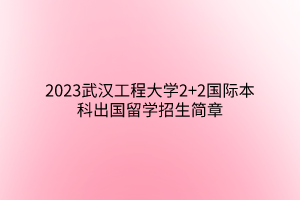 2023武漢工程大學(xué)2+2國際本科出國留學(xué)招生簡章