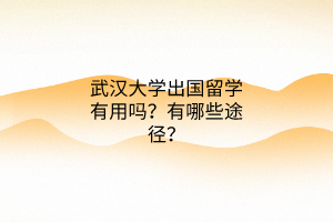 武漢大學(xué)出國留學(xué)有用嗎？有哪些途徑？