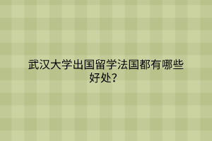 武漢大學(xué)出國(guó)留學(xué)法國(guó)都有哪些好處？