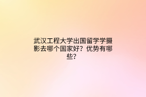 武漢工程大學(xué)出國留學(xué)學(xué)攝影去哪個國家好？優(yōu)勢有哪些？