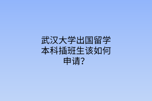 武漢大學(xué)出國留學(xué)本科插班生該如何申請？