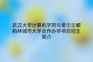 武漢大學計算機學院與愛爾蘭都柏林城市大學合作辦學項目招生簡介