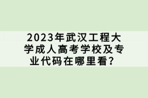 2023年武漢工程大學成人高考學校及專業(yè)代碼在哪里看？