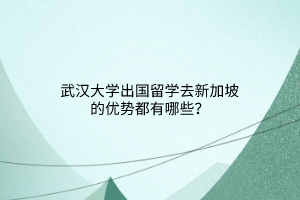 武漢大學出國留學去新加坡的優(yōu)勢都有哪些？