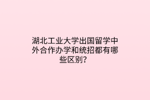 湖北工業(yè)大學(xué)出國留學(xué)中外合作辦學(xué)和統(tǒng)招都有哪些區(qū)別？