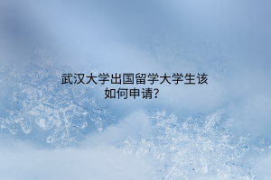 武漢大學(xué)出國留學(xué)大學(xué)生該如何申請(qǐng)？