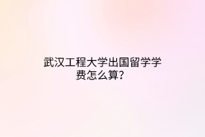 武漢工程大學出國留學學費怎么算？