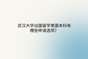 武漢大學(xué)出國留學(xué)美國本科有哪些申請選項？