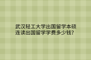 武漢輕工大學(xué)出國留學(xué)本碩連讀出國留學(xué)學(xué)費多少錢？